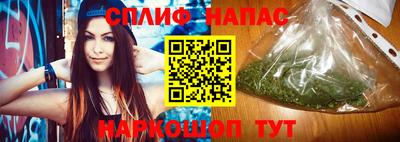 дживик Шелехов
