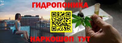 дживик Шелехов