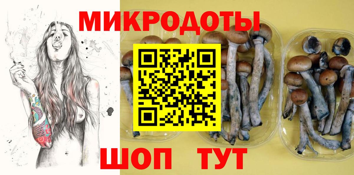 Псилоцибиновые грибы Psilocybe Белебей