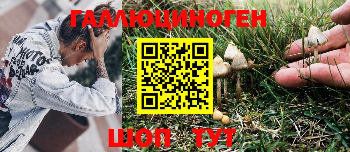 Галлюциногенные грибы GOLDEN TEACHER  Вход с VPN  Белебей 